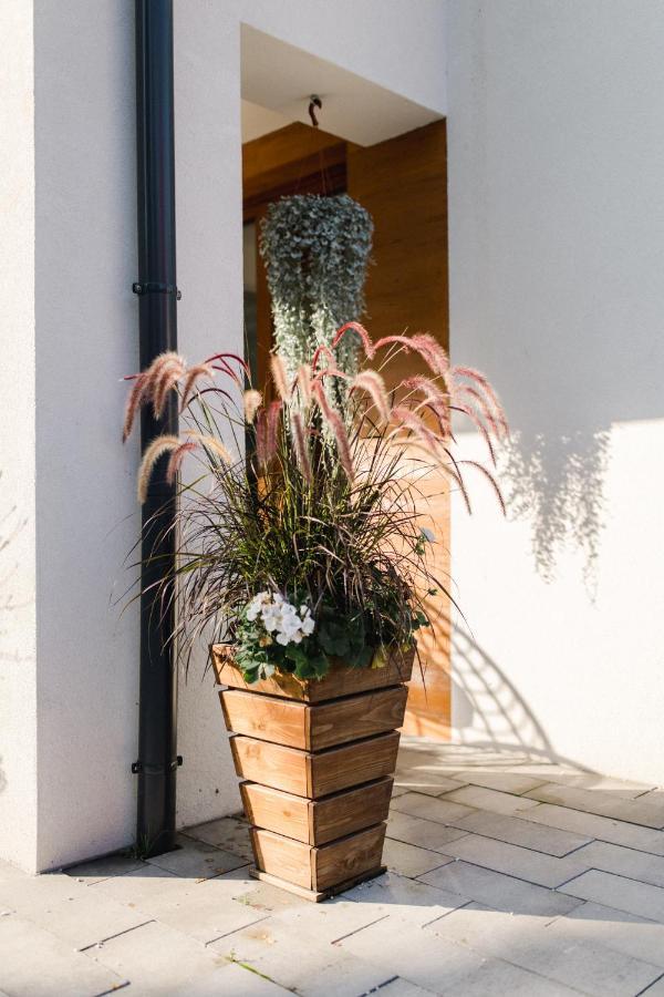שצ'צ'ירק Villa Monica Apartamenty מראה חיצוני תמונה